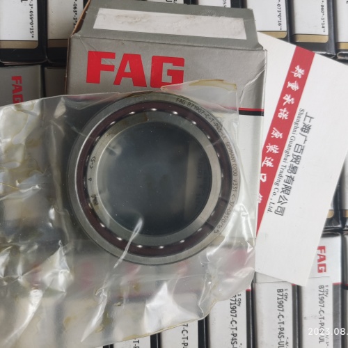 FAG電機(jī)絕緣軸承和逆變器絕緣軸承